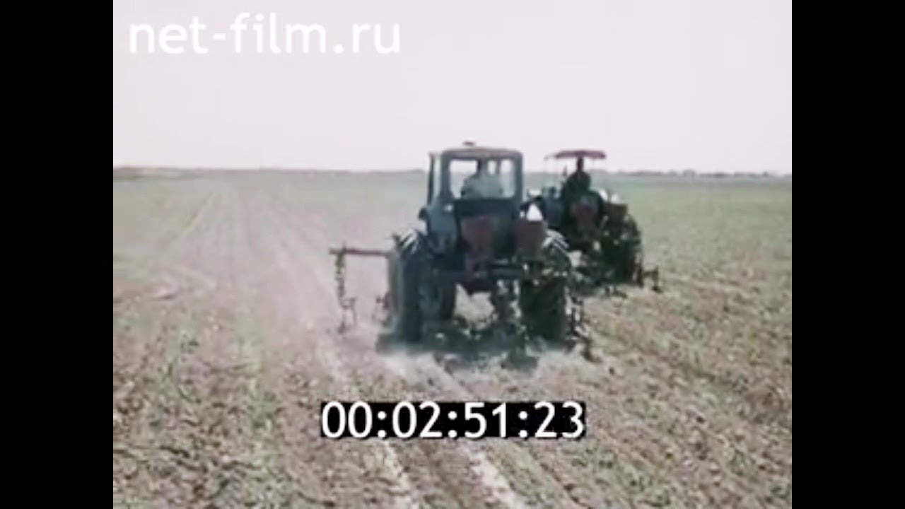 1978г. Каракумский канал. Туркменистан.