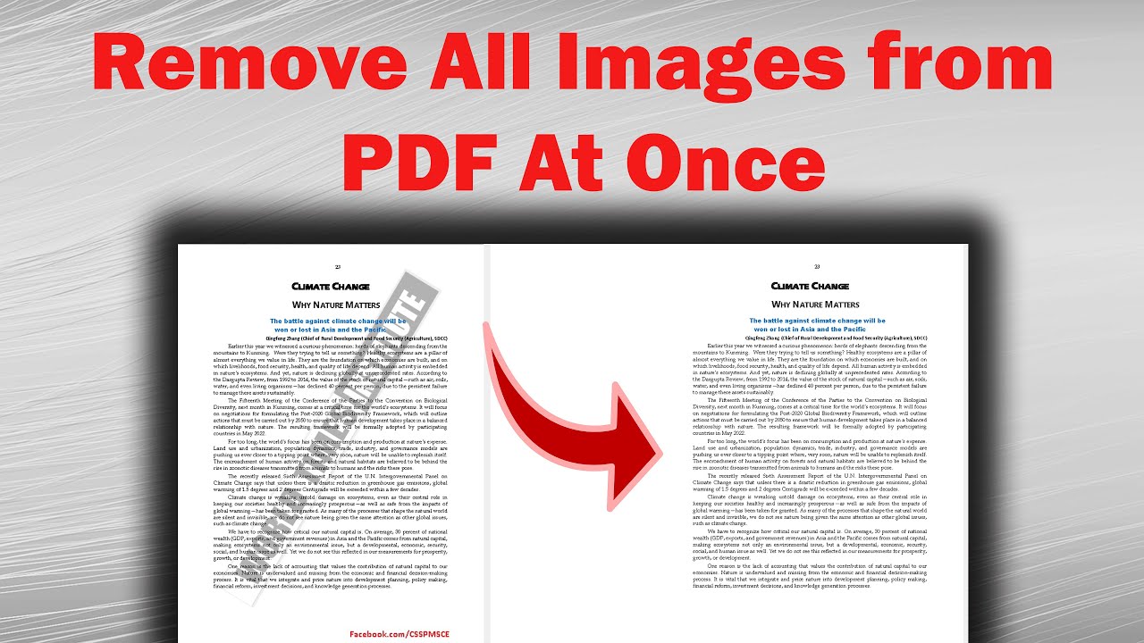 Remove All The Images From A PDF File at Once | Removing Image Watermark