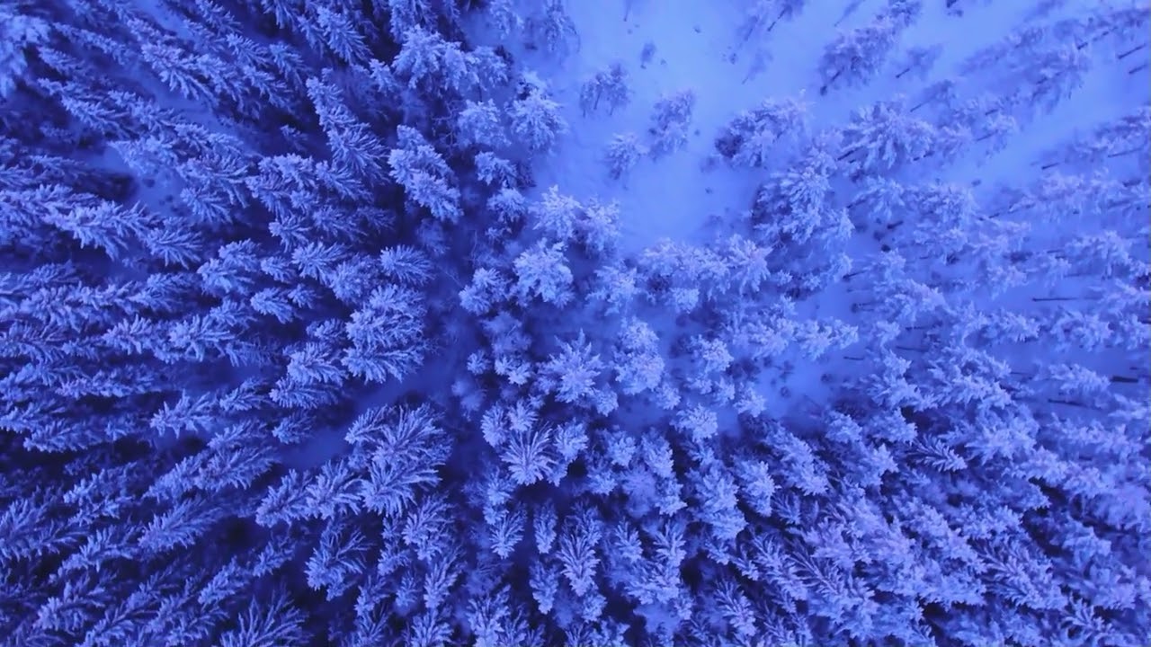 Delivered Soul - Lament For Snow