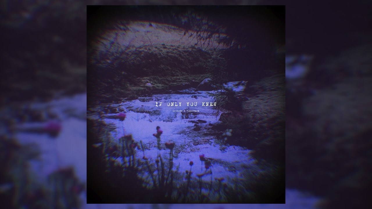 Logic23 x voidshade - If only You knew