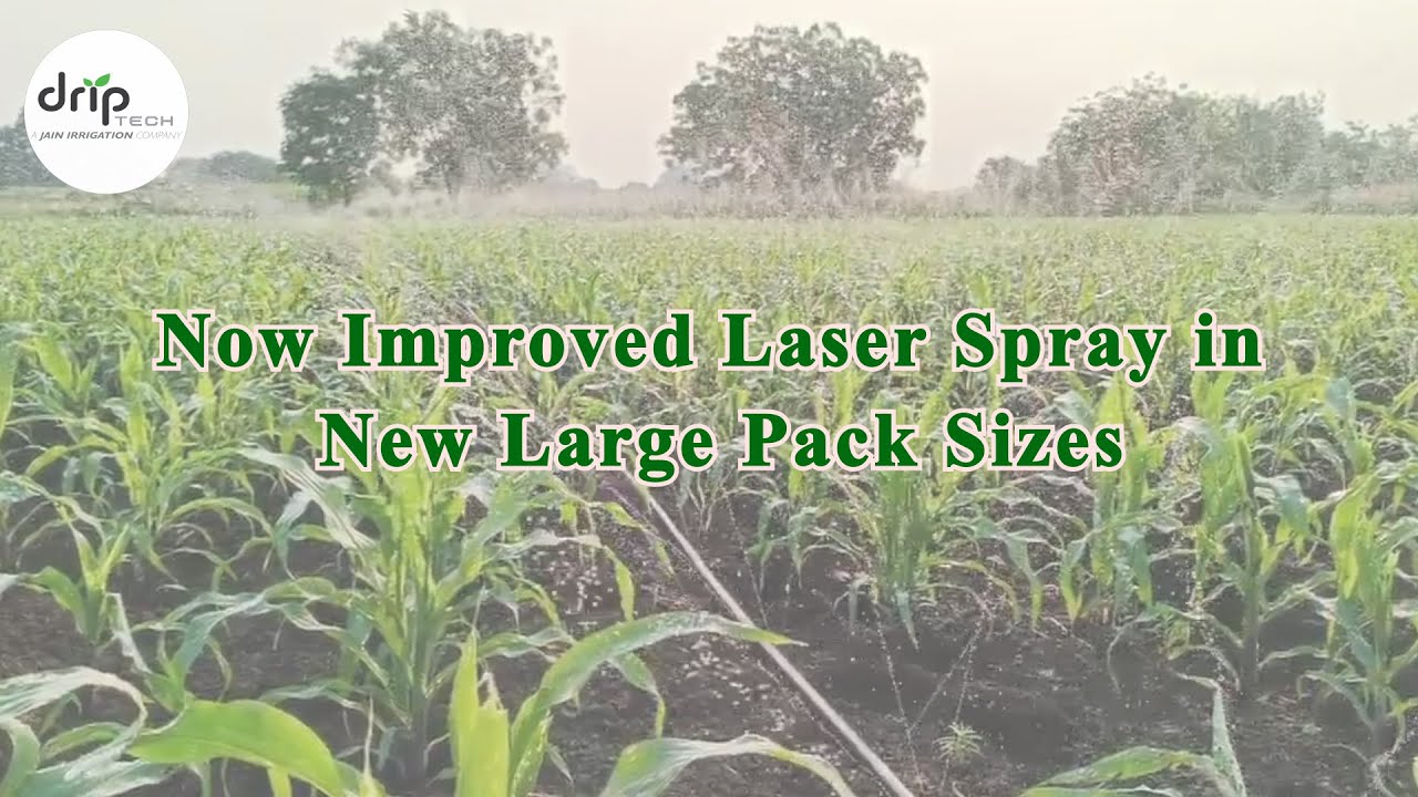 Laser Spray (Rain Pipe / Rain Hose) Technology Revolutionizing Drip Irrigation.