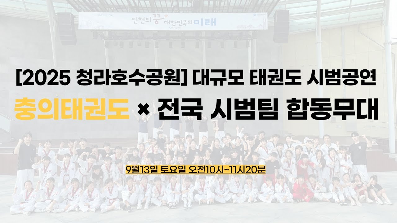 [2025 청라호수공원] 대규모 태권도 시범공연🔥 | 충의태권도 × 전국 시범팀 합동무대