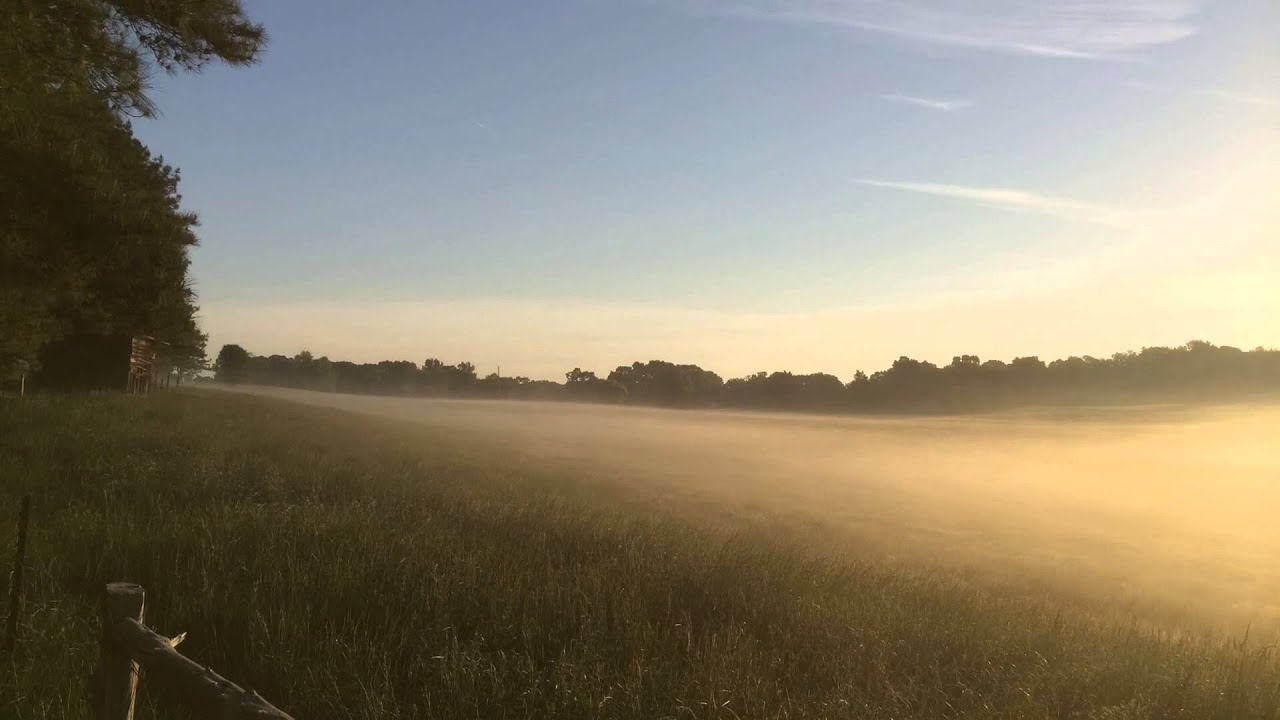 Fog burning away in the morning light over the hay field.