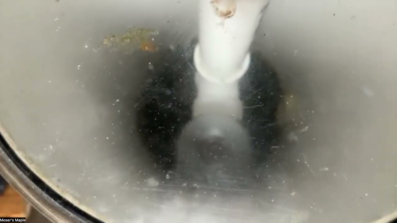 Maple Sugaring Virtual Field Trip - March 2025
