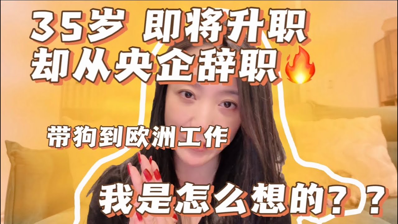 央企团支书竟然会辞职？大龄单身还带狗出国工作！！是人间清醒还是一时冲动？我为什么要润！