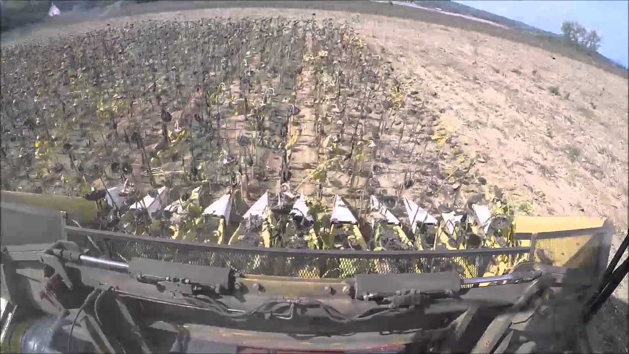 [Go PRO] Moisson du tournesol