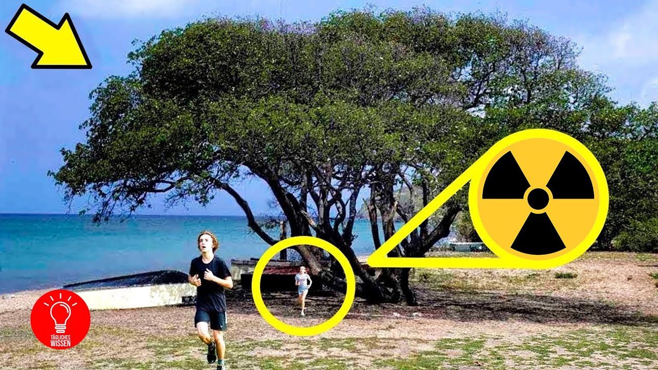 Die 10 giftigsten Pflanzen der Welt!