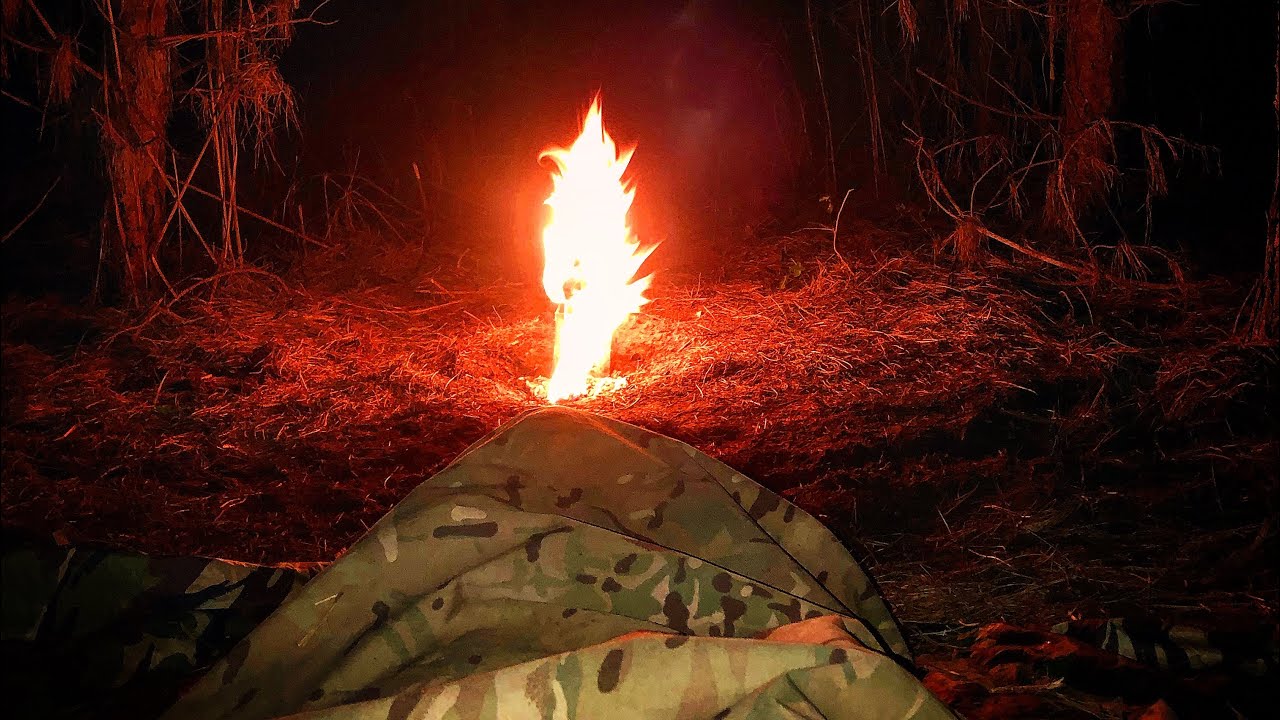 Wildcamp в лесу Тетфорд #wildcamping #bushcraft #offgrid