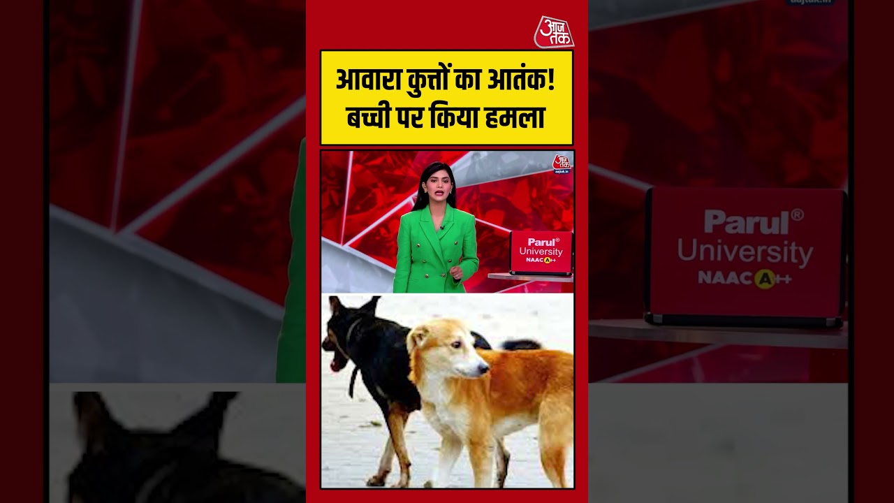 Greater Noida में आवारा कुत्तों का आतंक! बच्ची पर किया हमला#aajtak #shorts #streetdogs #dogbitecases