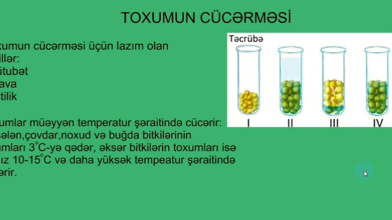 Toxumun quruluşu,cücərməsi və yayılması.