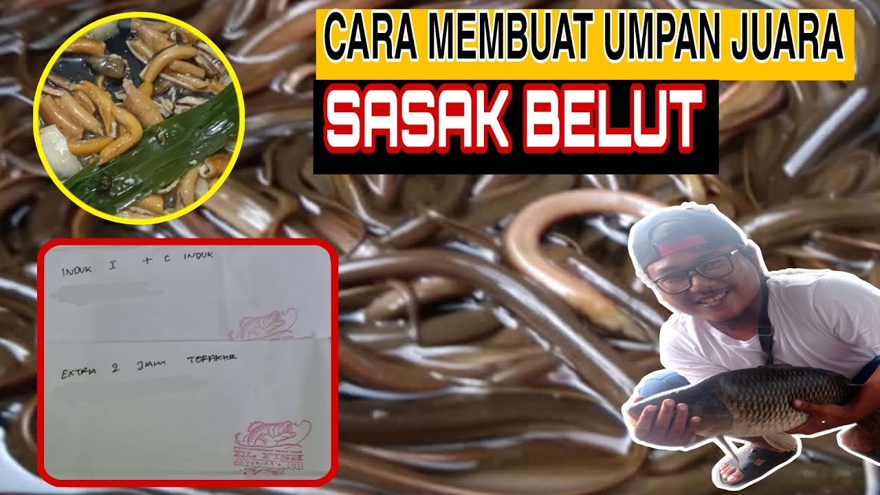 Cara Membuat Sasak Belut Untuk Mancing ikan Induk Galapung Ikan Mas #part1 #021
