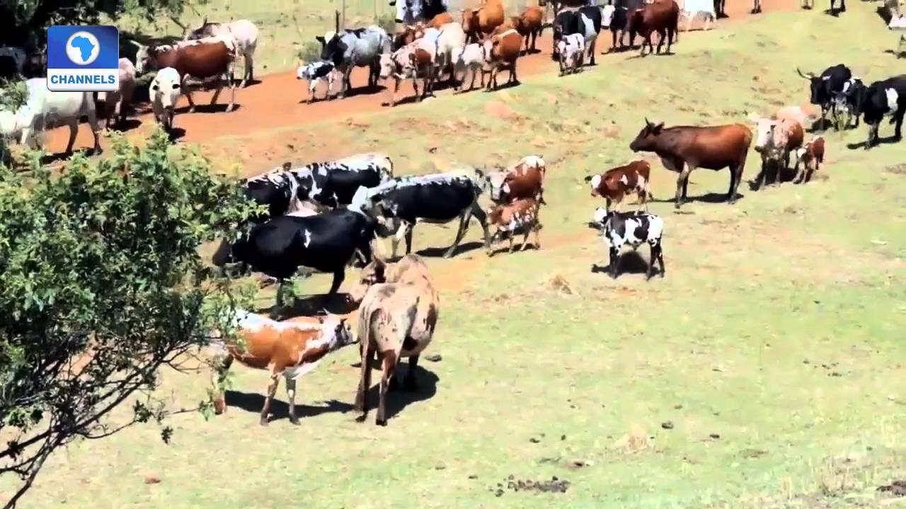 Question Time: Focus On Agriculture Dev In Nigeria With Audu Ogbeh Pt 1