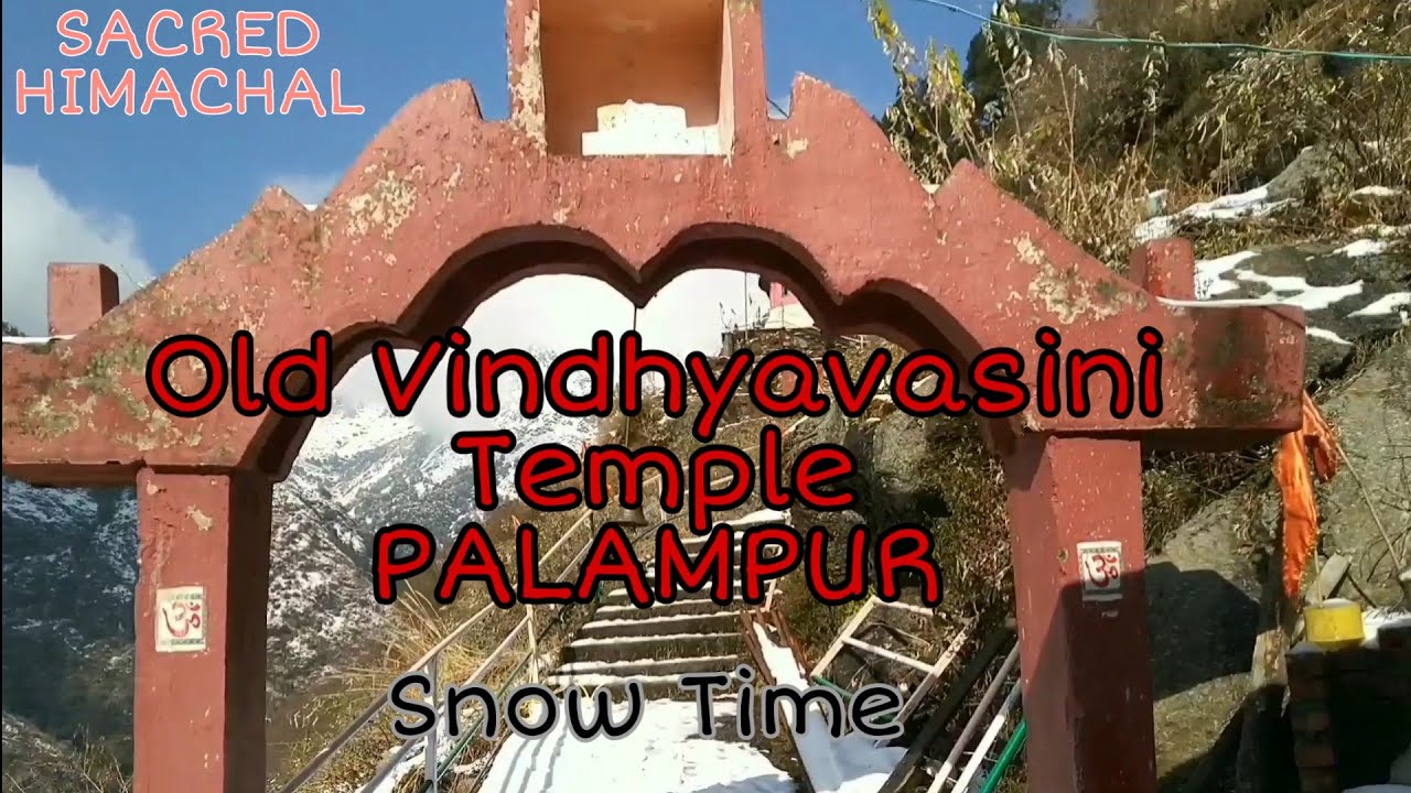 Old Vindhyavasini Temple || Palampur || In Winters || SACRED HIMACHAL ||