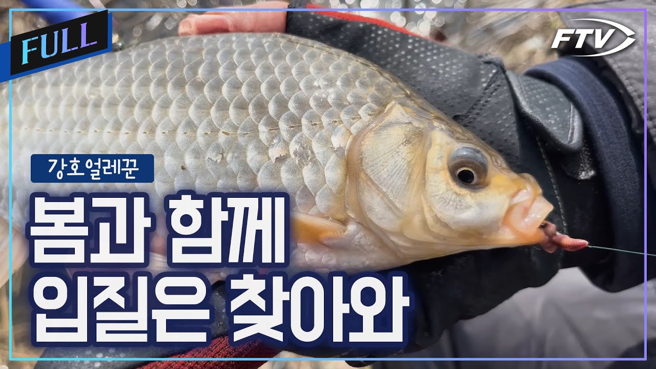 [Full]봄 붕어 집합! 봄기운을 품은 월척은 어디에?[강호얼레꾼/24회]