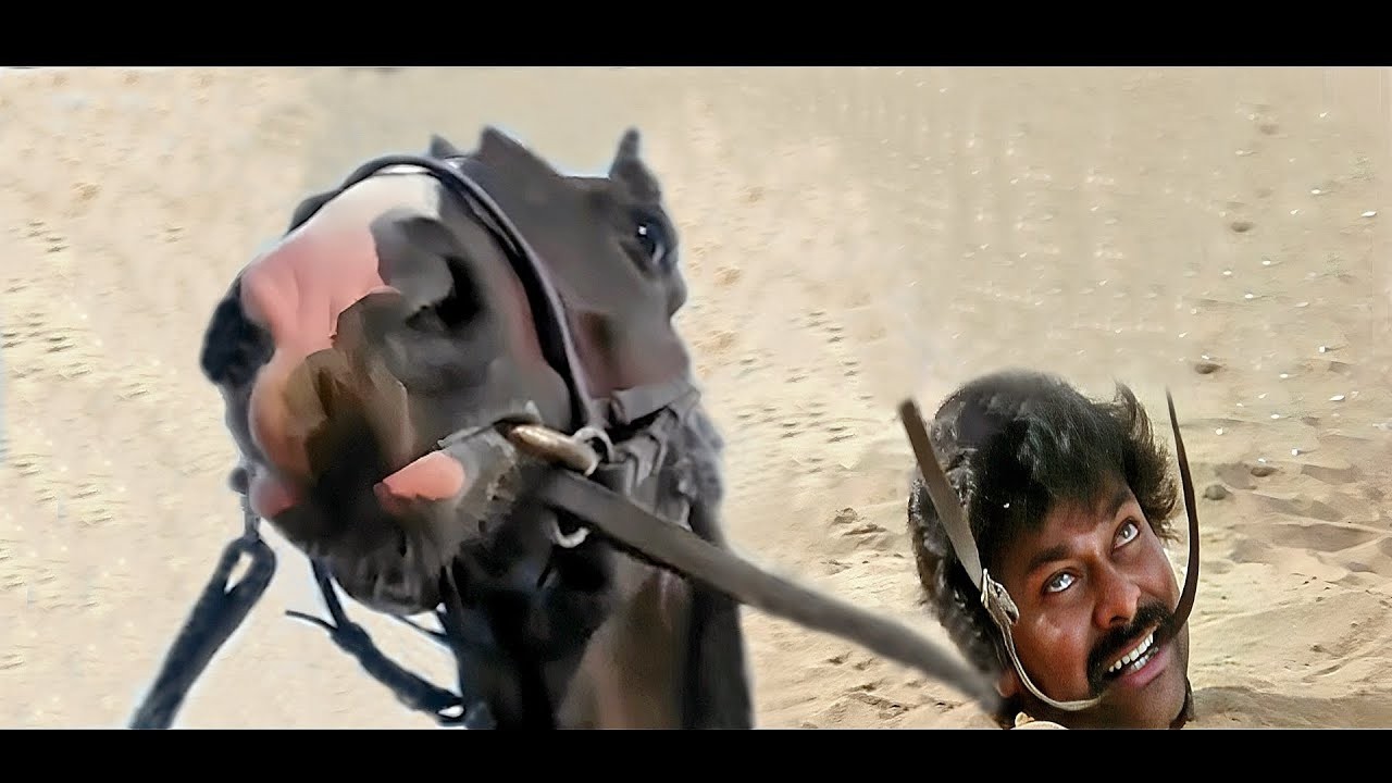 देखिये बेज़ुबान घोड़े की समझदारी ने कैसे बचाया Chiranjeevi को | साउथ Movie |Mega Star Lion Chiranjeevi
