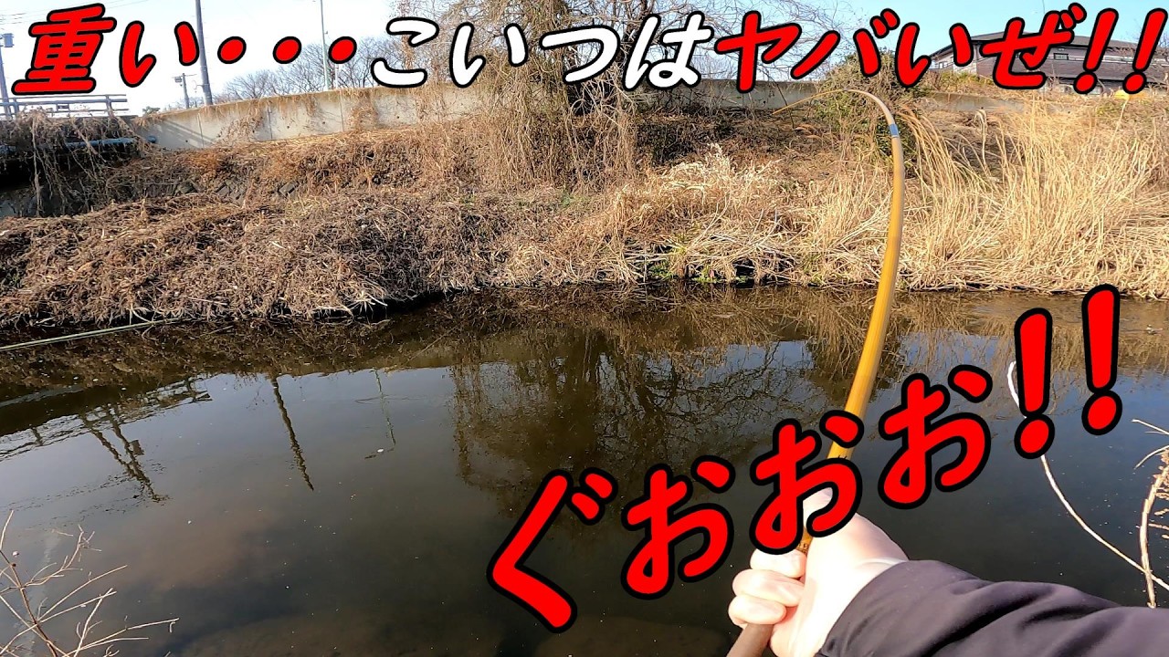 こいつはヤバいぜ！！！大物釣り！！