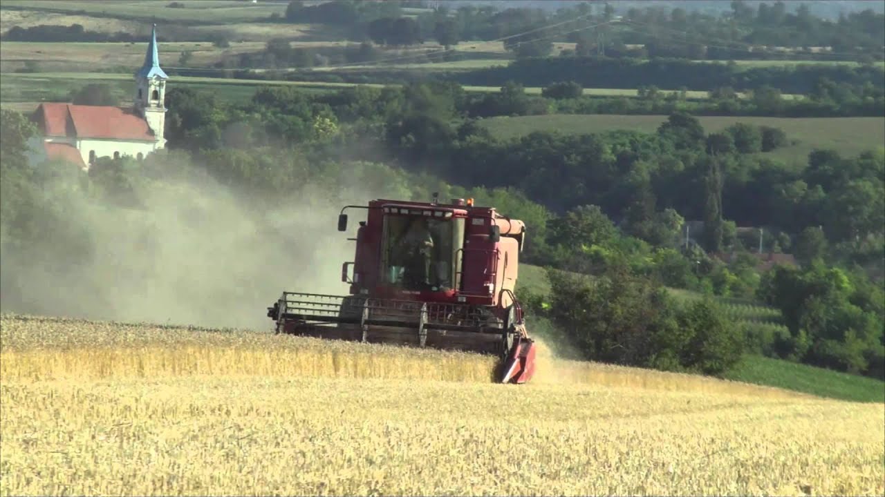 [2013] Búza Aratás/Wheat Harvest  - Case Ih 2166,John Deere,Mtz