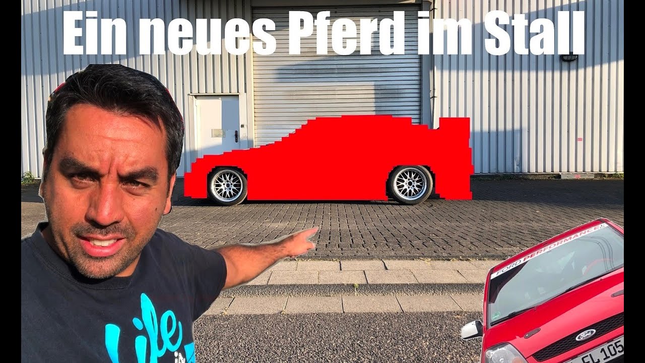 Es gibt NEWS! Ein neues Pferd im Stall - derfabbes