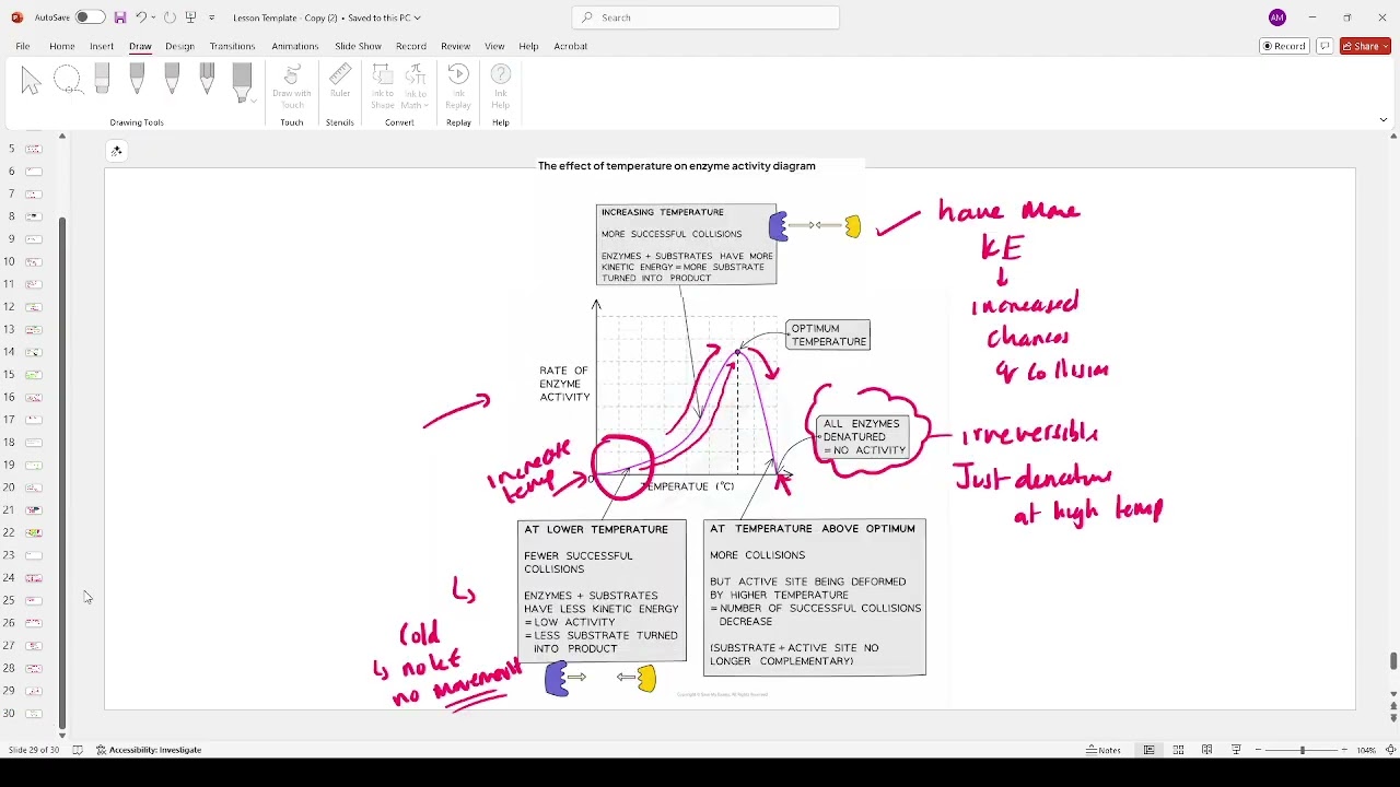 Enzyme Activity Part 2 | 25th September