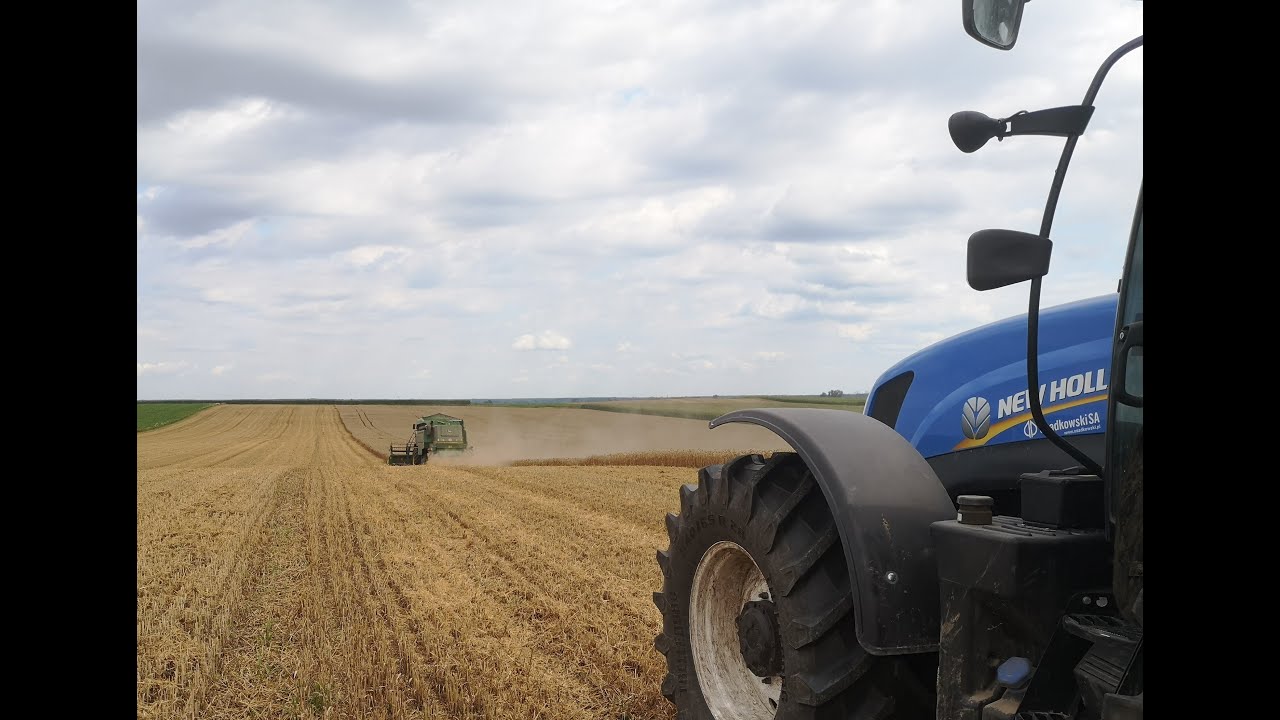 ŻNIWA 2020! Pszenica cd. oraz o sprzedaży słomy, wapnowaniu, retencji wody. FarmVlog.