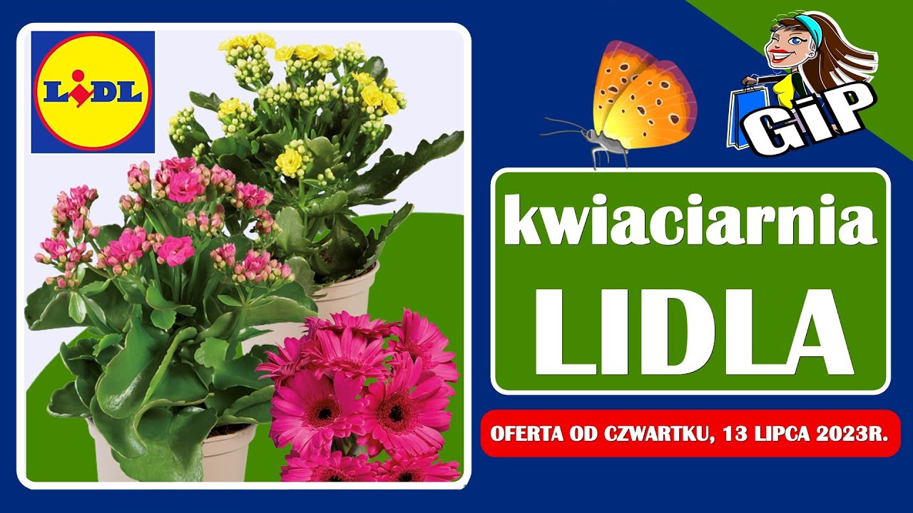 LIDL | Oferta Promocyjna od Czwartku 13.07.2023 | Kwiaciarnia Lidla | Tanie Kwiaty