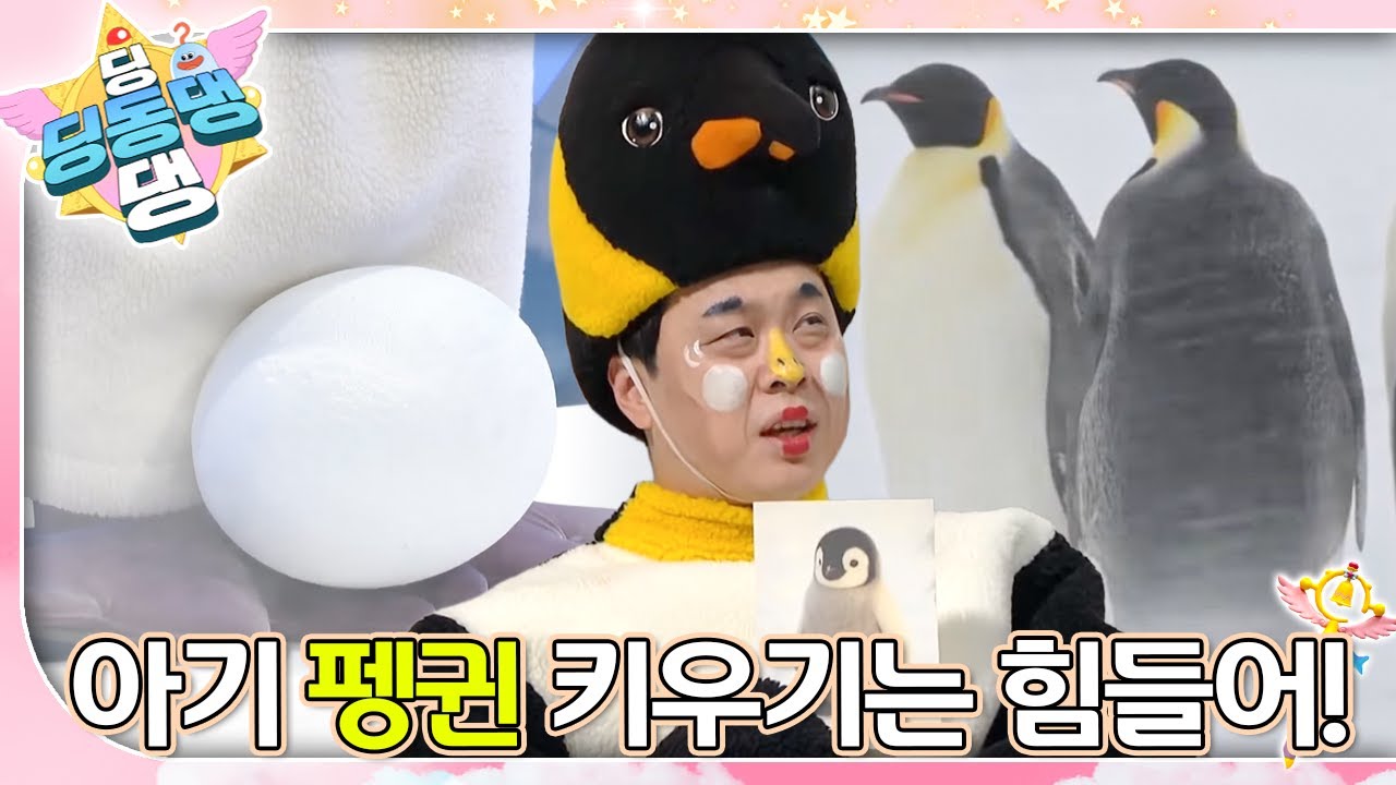 동물 병원 체조 교실에 참석했던 아빠 펭귄, 펭서 환자가 굶어서 쓰러졌어요!ㅣ딩동댕 딩동댕ㅣ아기 펭귄 키우기는 힘들어!