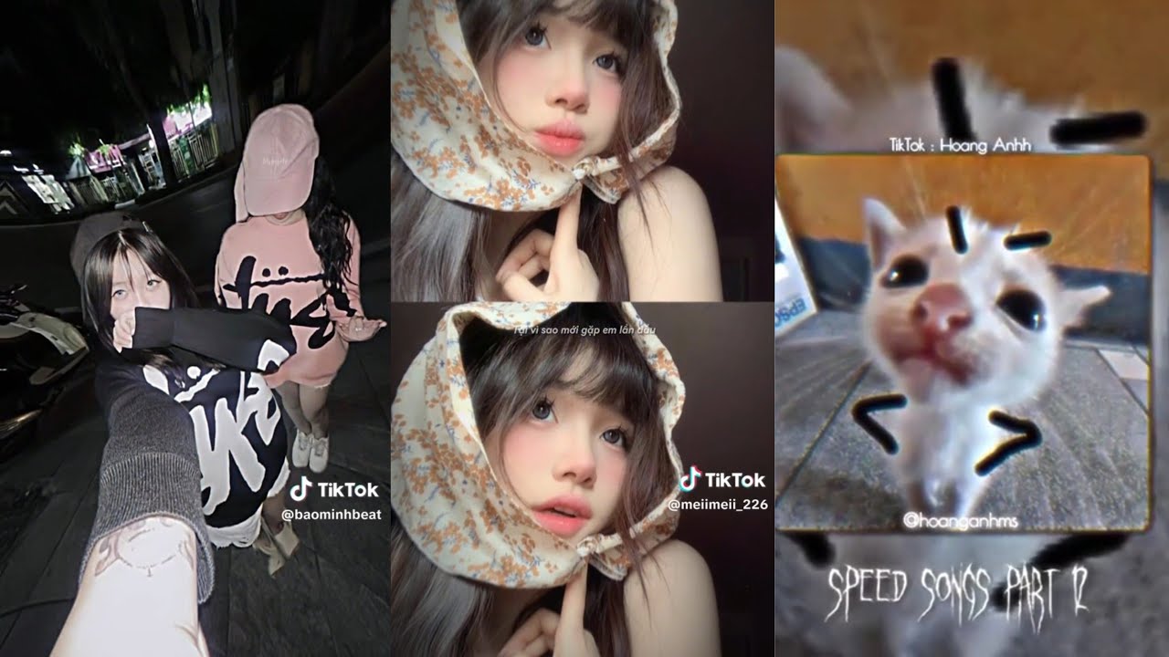 🎵Nhạc tik tok [Tổng hợp]💖 Những Đoạn Nhạc CỰC HAY Trên Tik Tok [Chờ iu CHILL].