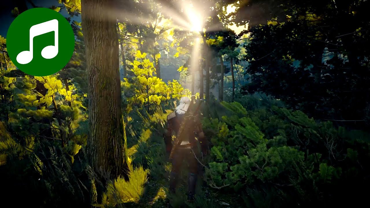 WITCHER 3 Music & Ambience 🎵 Forest Peace (Relaxing Gaming Music | Witcher 3 Soundtrack | OST)