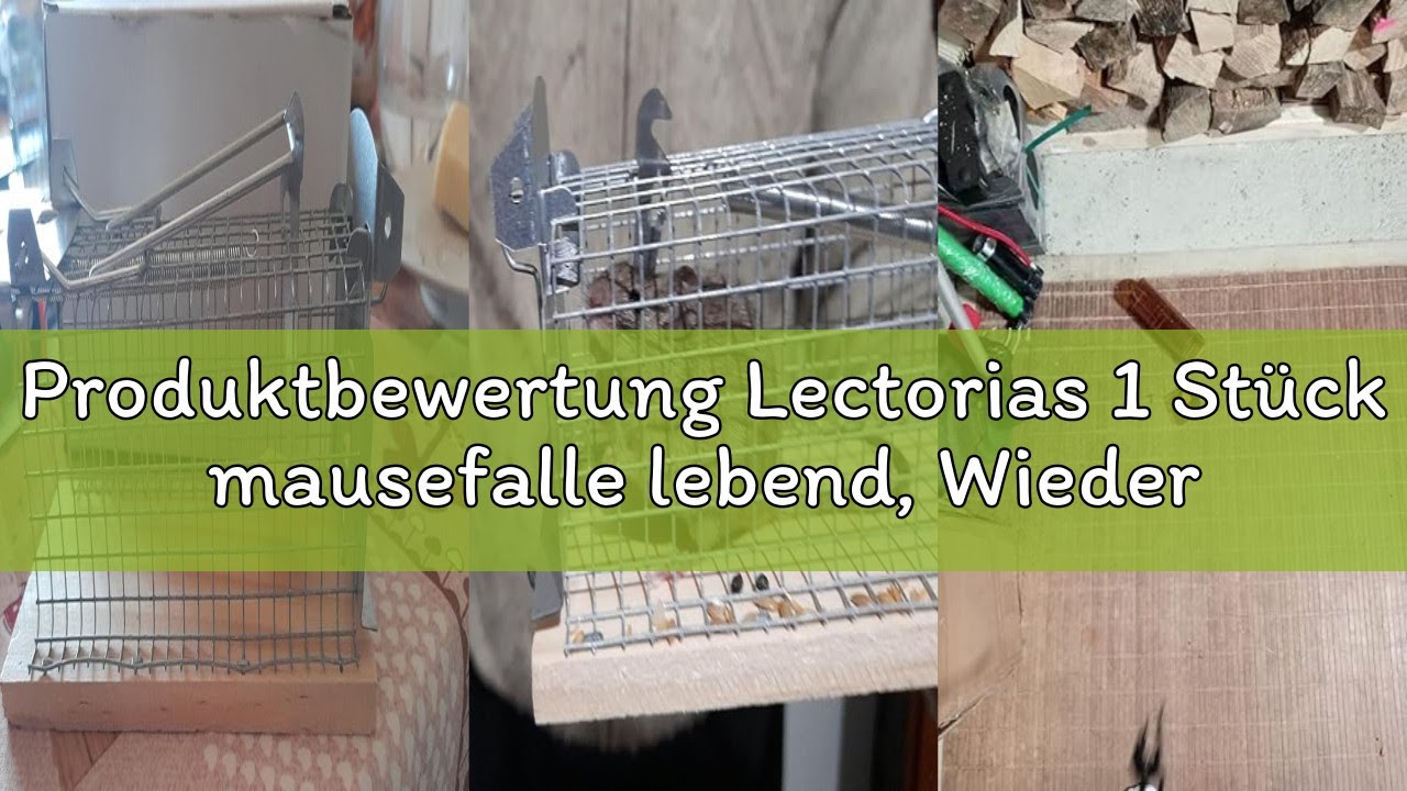 Produktbewertung Lectorias 1 Stück mausefalle lebend, Wiederverwendbar rattenfalle, mäusefalle mit E
