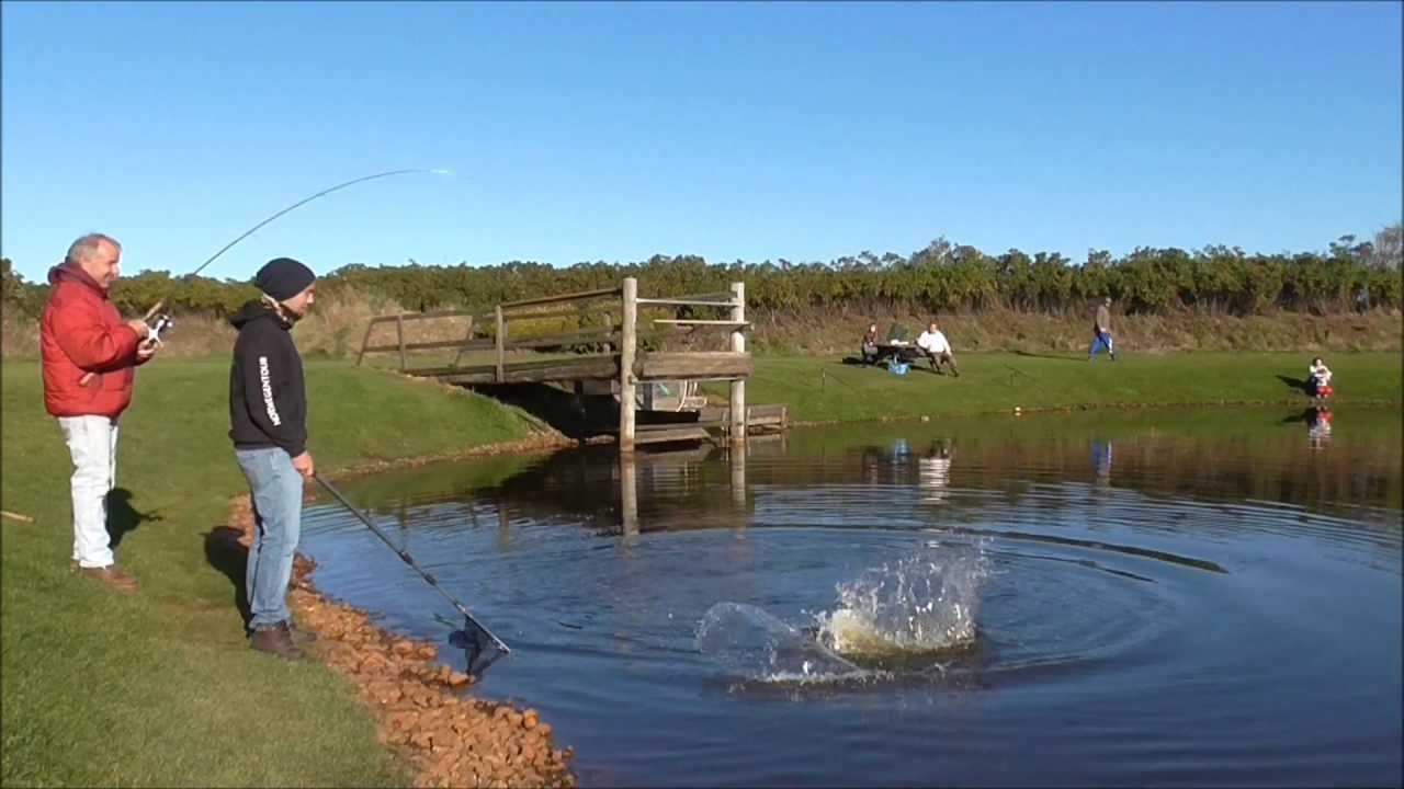 Hvide Sande/Dänemark Oktober  - Angeln auf Forelle,Barsch & Hecht