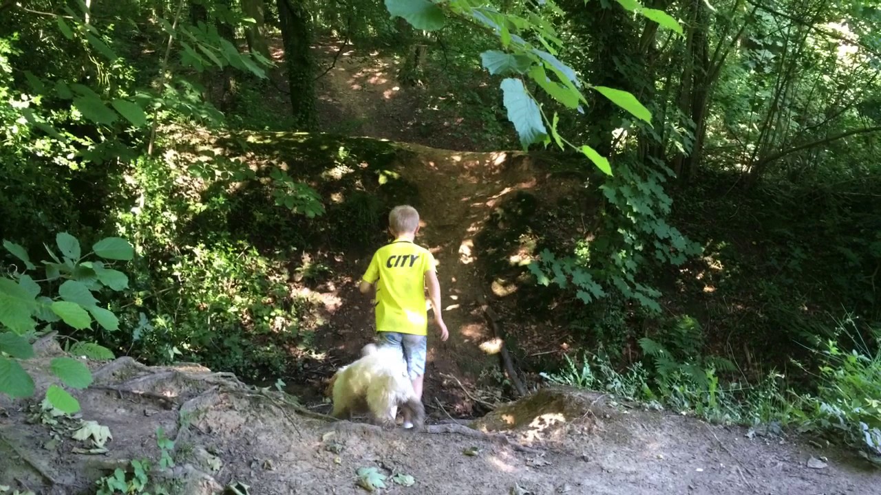 Adventures Me