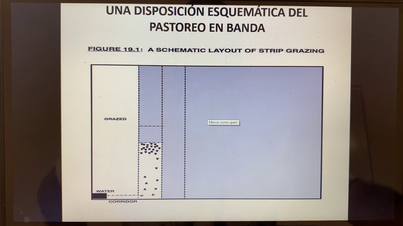 El PUAD Pasó a Paso