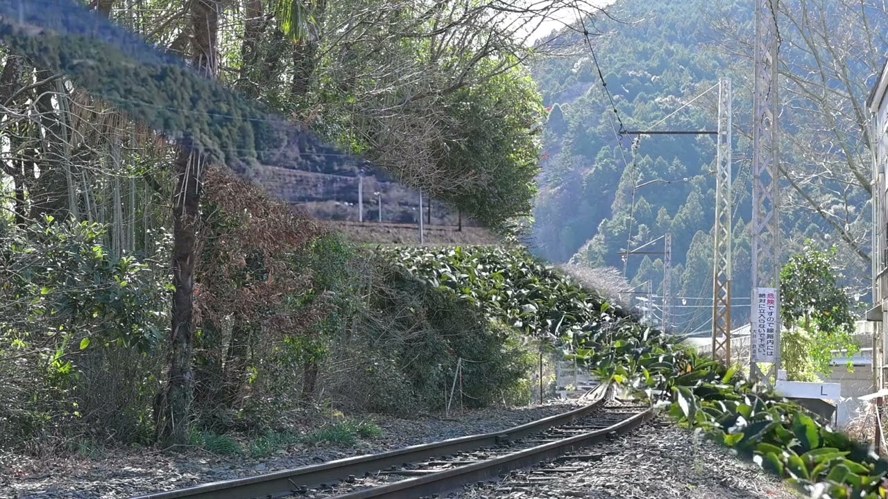 大井川鐡道C108ラストウイーク2026 01 09