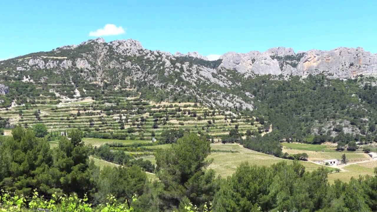 The Best of the Cote du Rhone Villages