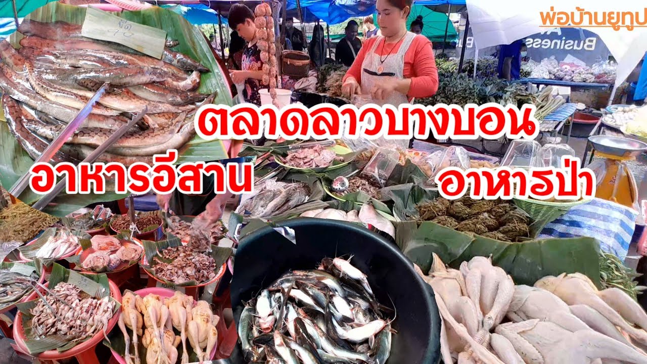 อาหารป่า อาหารพื้นถิ่นอีสาน ตลาดลาวบางบอน
