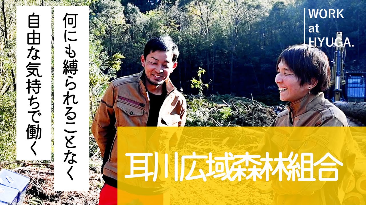 ◤ WORK at HYUGA #32 耳川広域森林組合◢ 林業