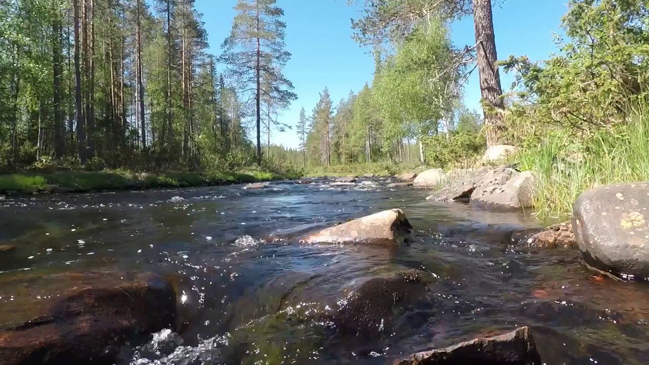 Fly fishing in Älvdalen.