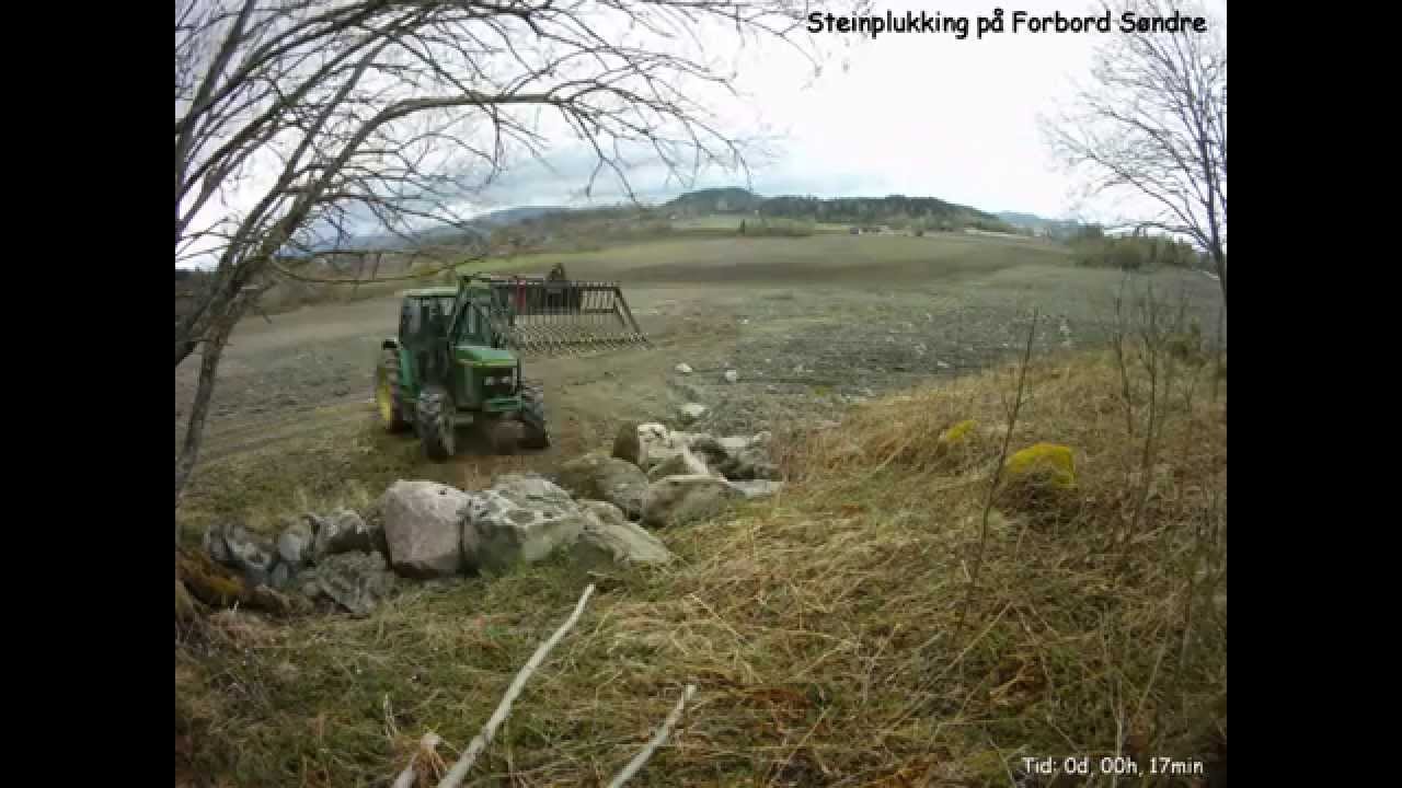 Steinplukking 2014