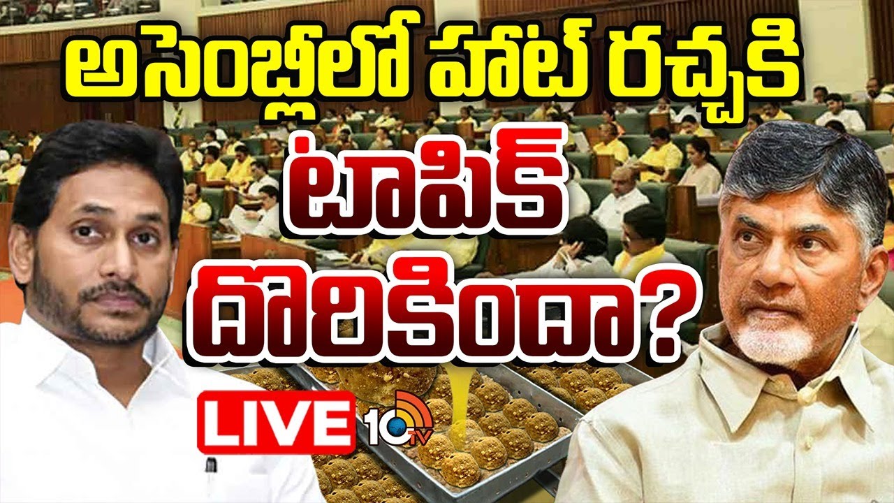 LIVE: అసెంబ్లీలో హాట్ రచ్చకి టాపిక్ దొరికిందా? | AP Assembly | CM Chandrababu Vs YS Jagan |10TV News