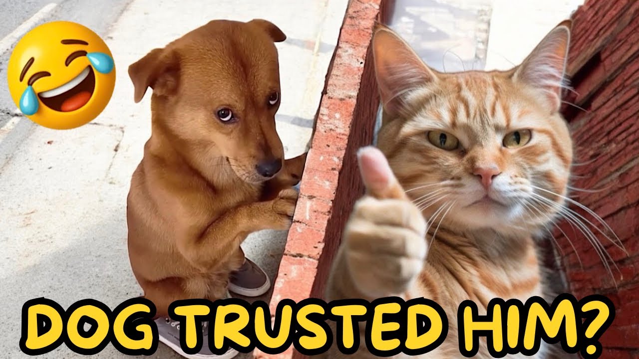 Cats & Dogs Funny Compilation 26 | That’ll Make You Laugh Out Loud! 😹🐕