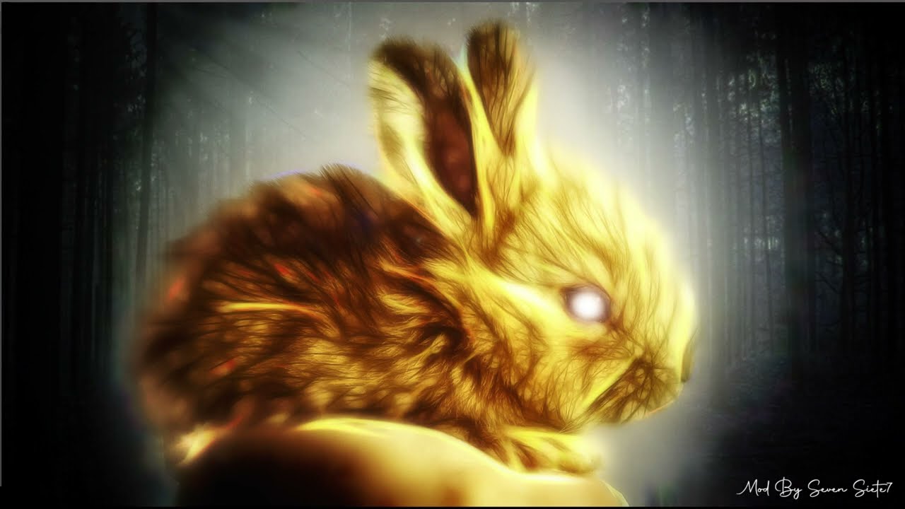 Speed Art rabby ilumination