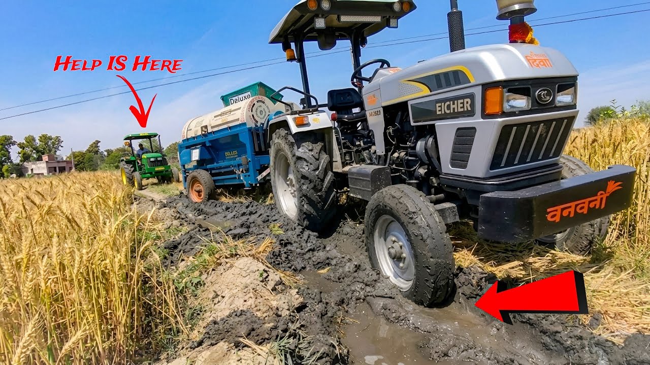 Today’s Mustard Threshing Gone Wrong 😓 | Thresher & Tractor Stuck in Mud | 4K Farming Life
