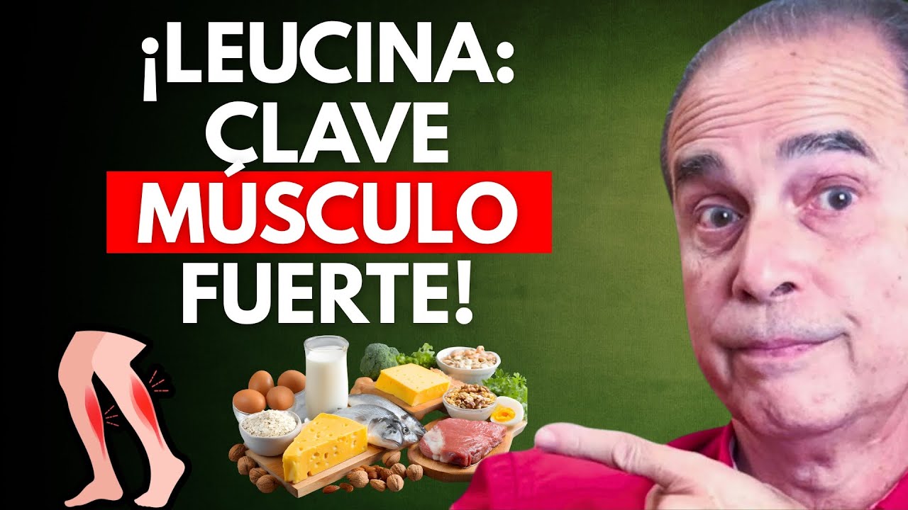 Dieta Rica en Leucina La Clave Para Prevenir la P&eacute;rdida de M&uacute;sculo