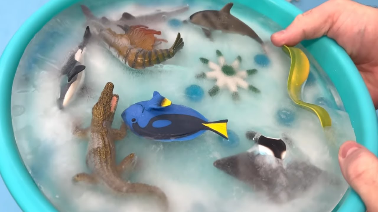 Ice Rescue Adventure! 🧊 Finding Sea Animal Toys