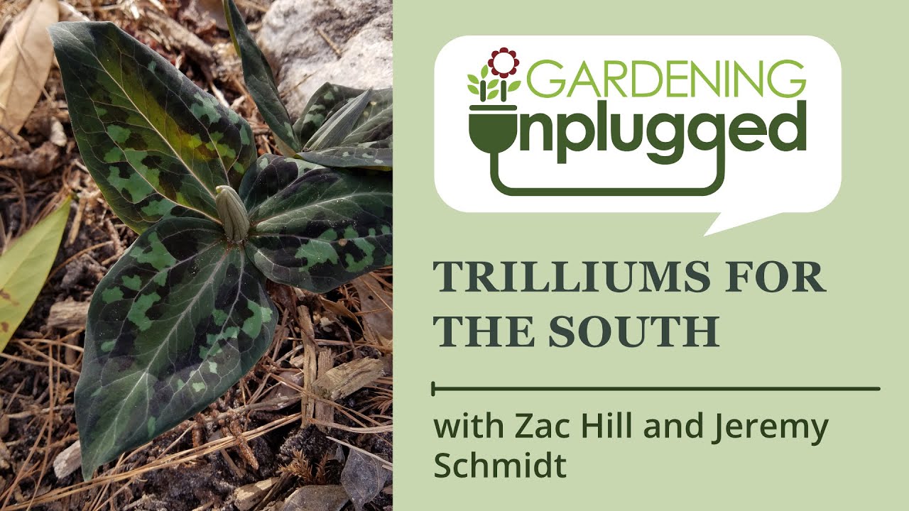Gardening Unplugged - Trilliums for the South w/ Jeremy Schmidt and Zac Hill