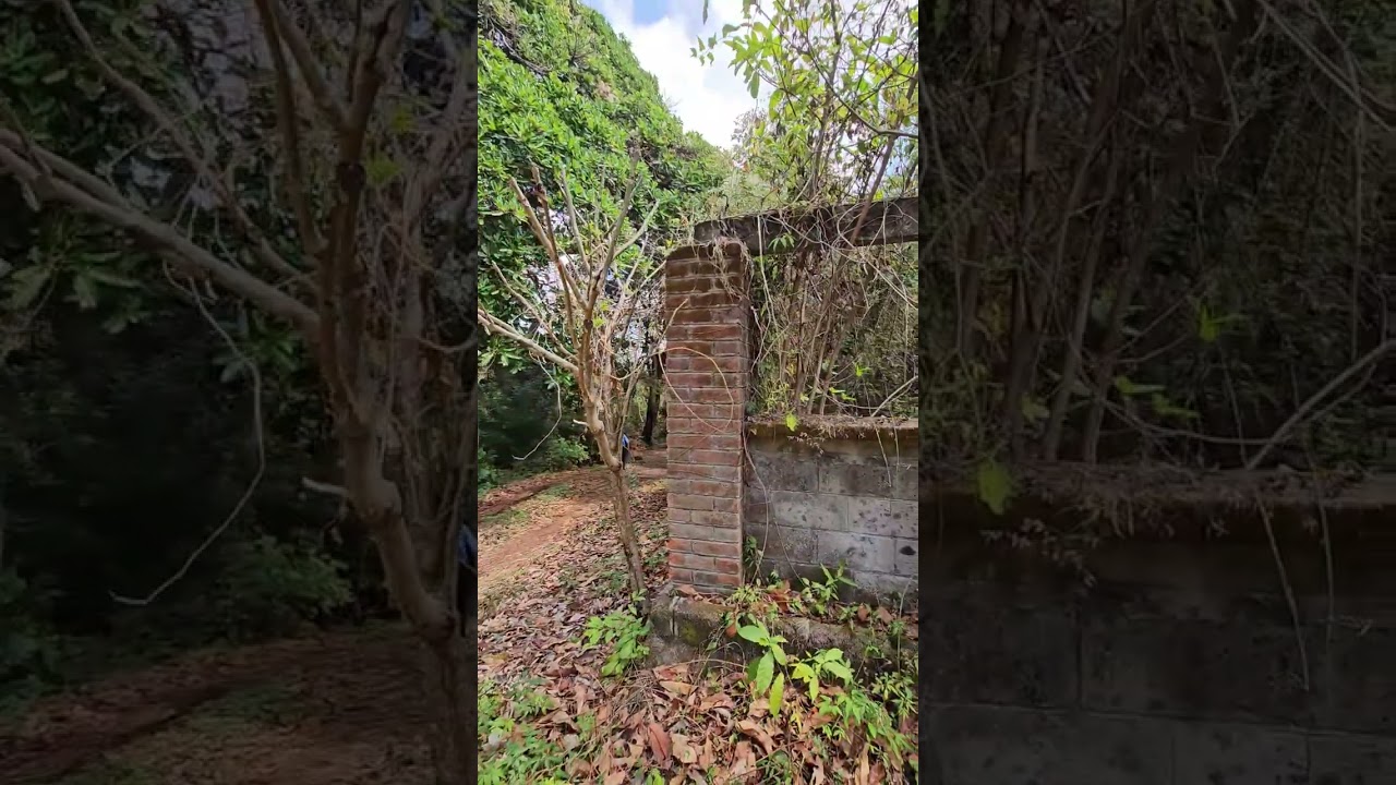 Finca santa teresa 08/03/26 #tepecoyo 