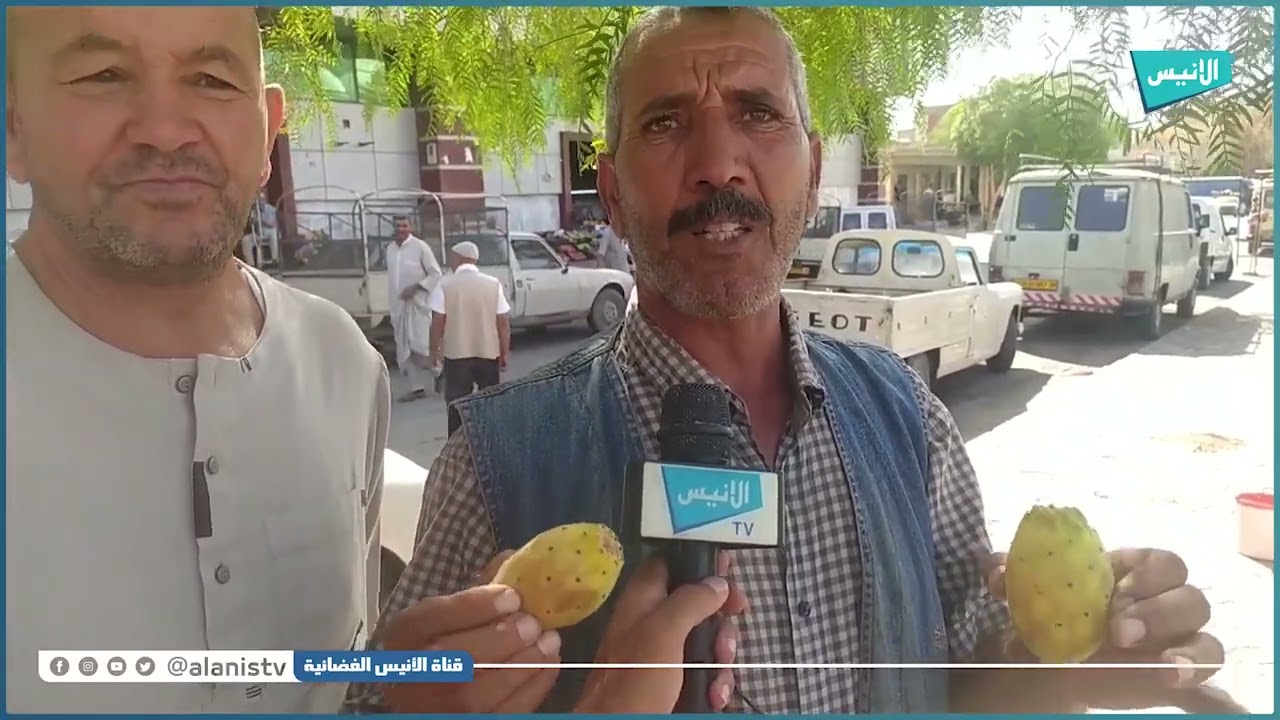 المسيلة: سكان بلدية مقرة يأخذون من فاكهة التين الشوكي مصدر رزق لهم