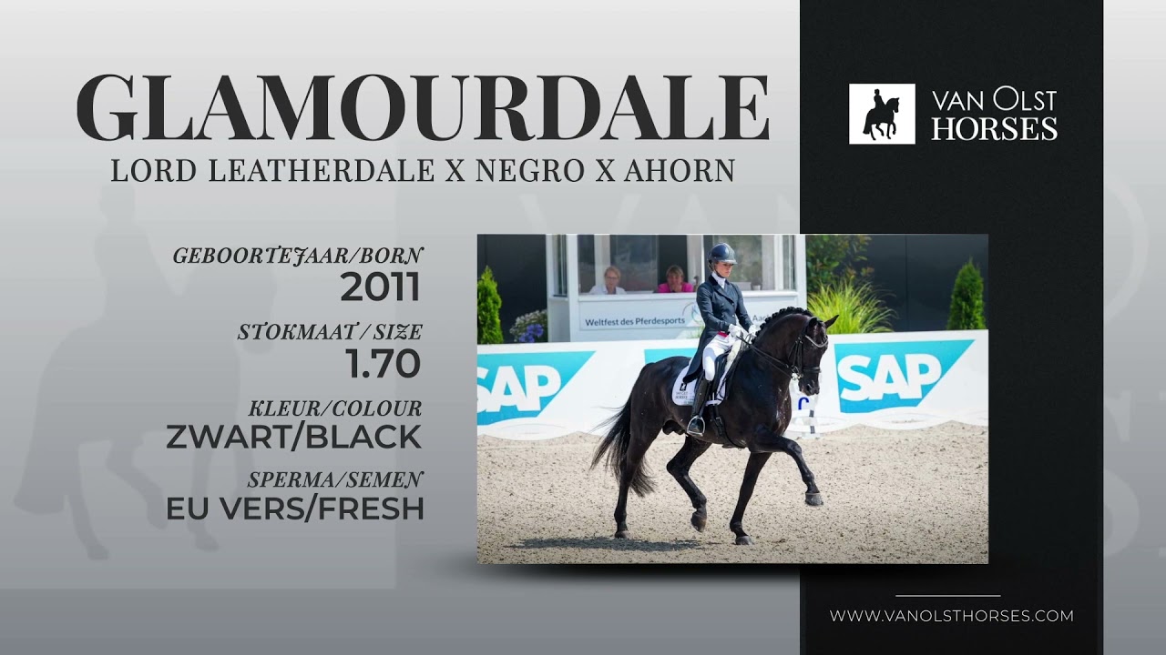 Van Olst Horses Glamourdale 2021