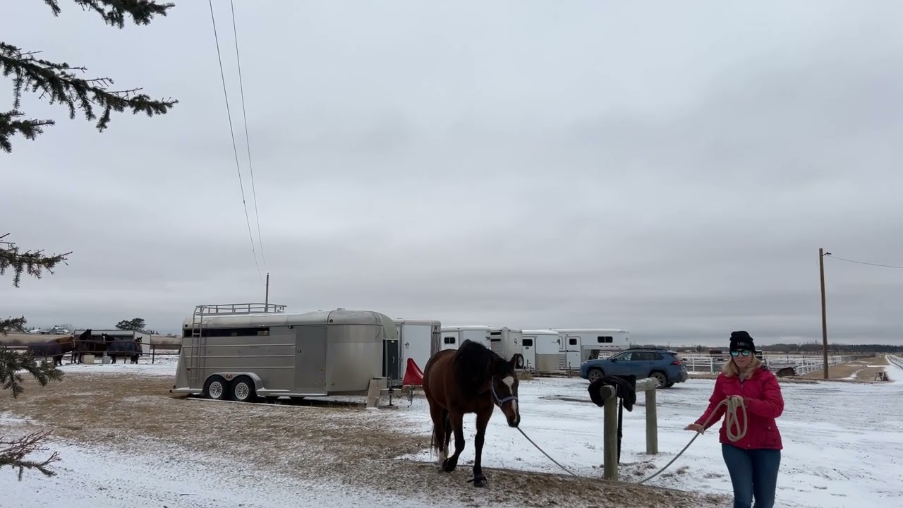 Spyro Outside Mar 28