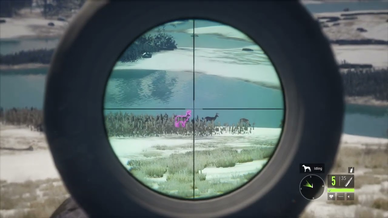 Diamond Whitetail Deer Hunt: theHunter: Call of the Wild